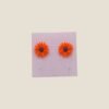 Helianthus
